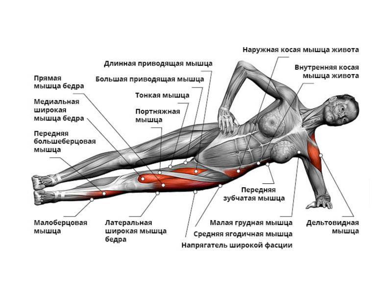 Скручивания. классическая техника выполнения и вариации