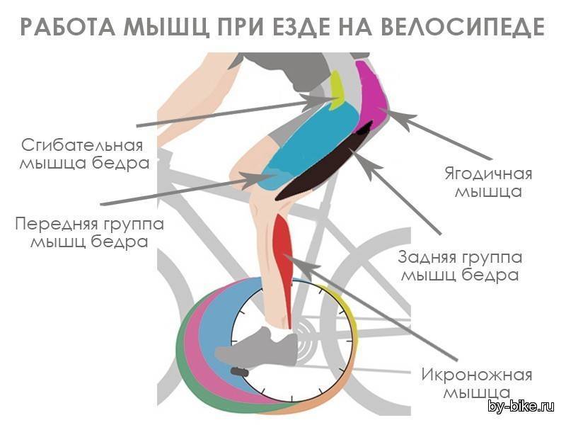 Чем полезна езда на велосипеде для женщин, фото – польза при проблемах с похудением