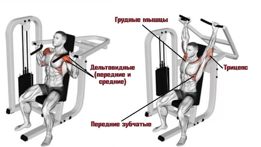 Эффективные упражнения на плечи в тренажерном зале: фото