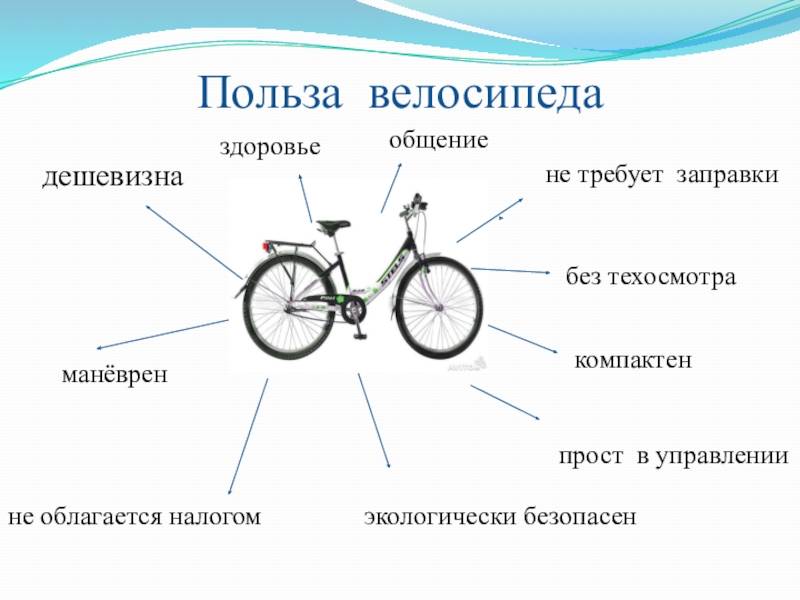 Польза езды на велосипеде для женщин и мужчин