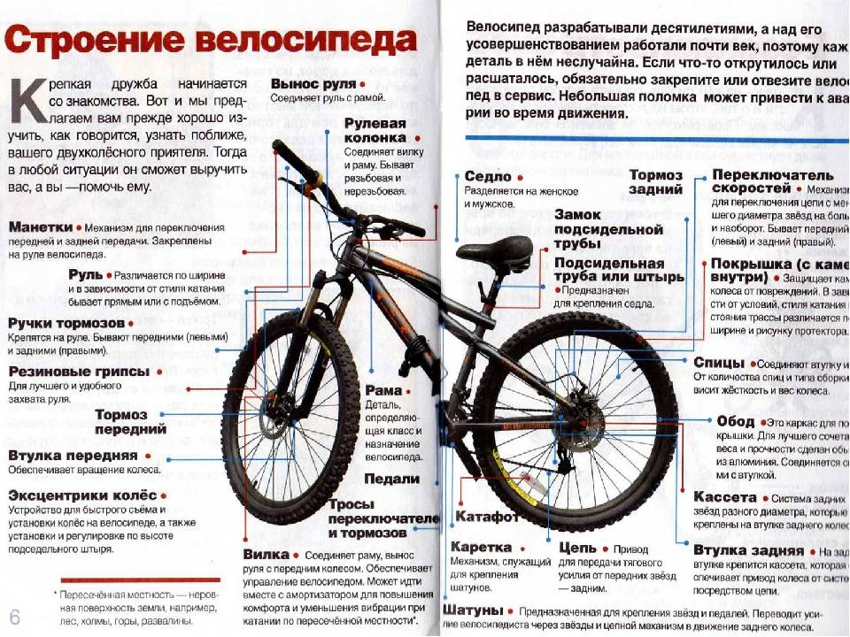 Детальный обзор лежачих велосипедов- на что обратить внимание при выборе лигерада