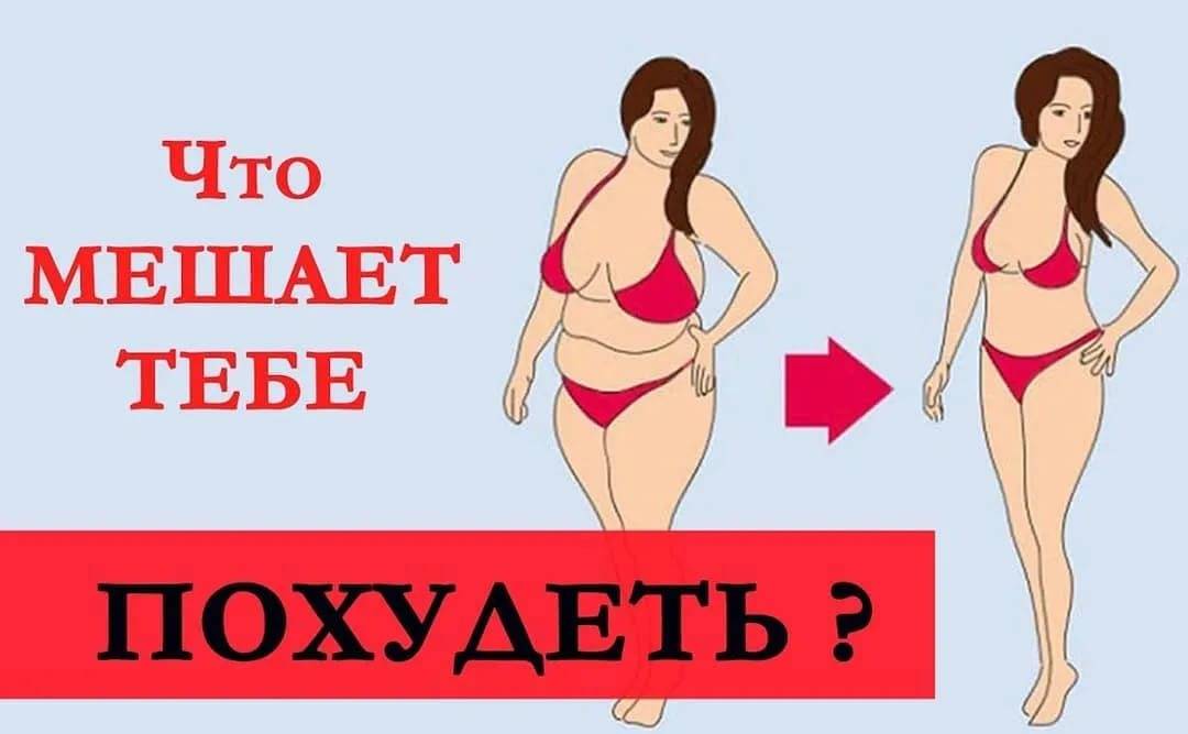 Как заставить похудеть себя, мужа или жену | medded.ru