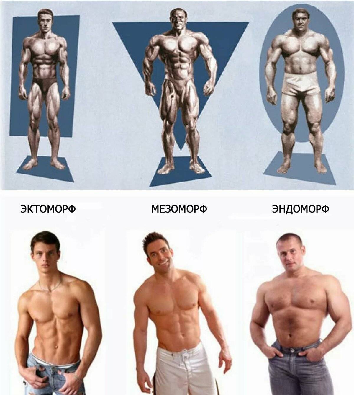 Как определить свой тип телосложения