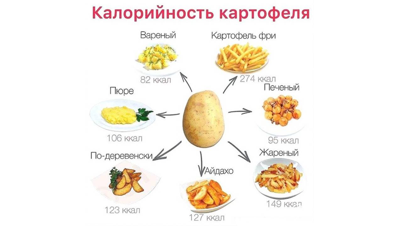 ᐉ калорийность картофеля: вареного, жареного, запеченного, тушеного - roza-zanoza.ru