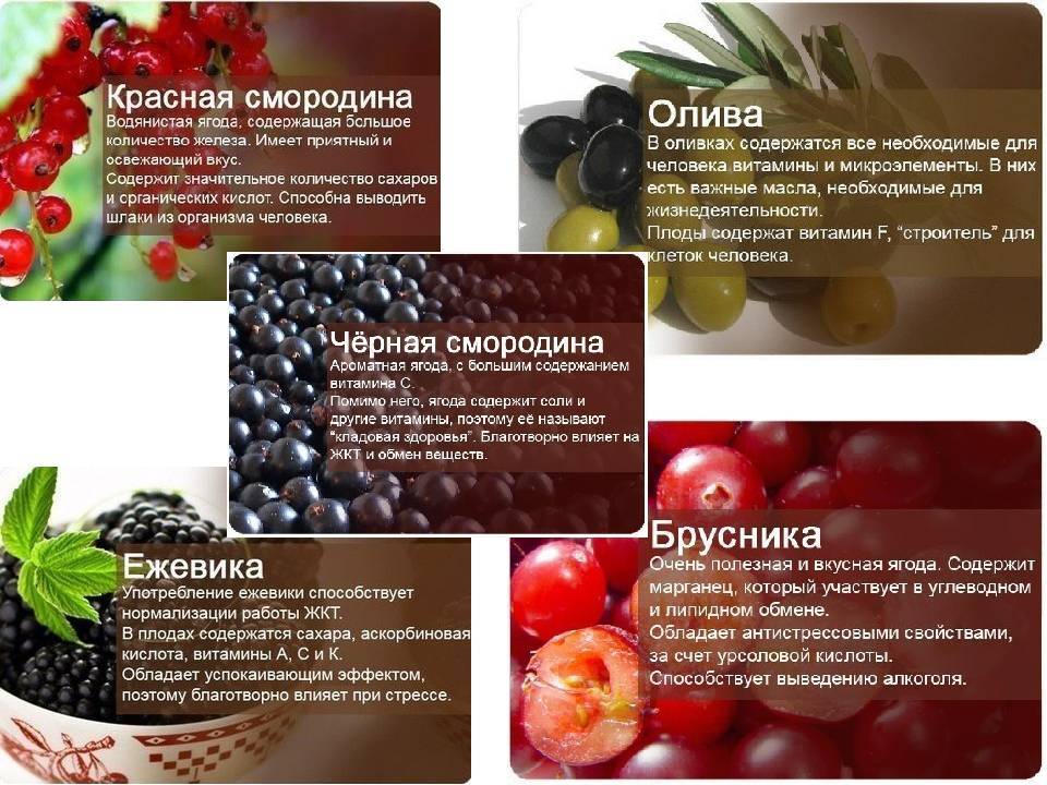 Красная смородина — полезные свойства и противопоказания ягод красной и белой смородины ⥁