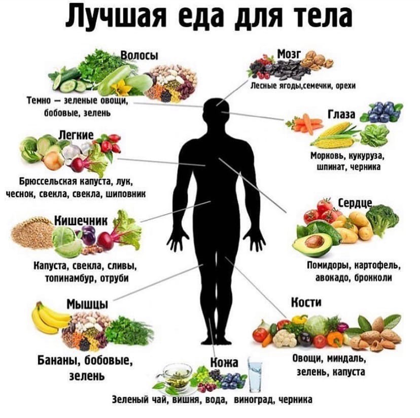 Здоровое питание