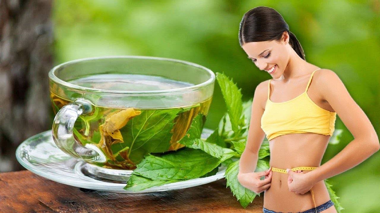 Чай для похудения приготовить. Чай для похудения. Зеленый чай. Худеть чай. Зеленый чай для похудения.