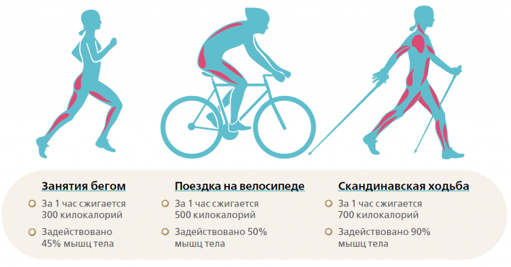 Как езда на велосипеде влияет на фигуру? польза или вред? - bike-rampage