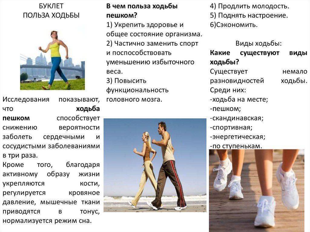 Сколько нужно ходить пешком | официальный сайт – “славянская клиника похудения и правильного питания”