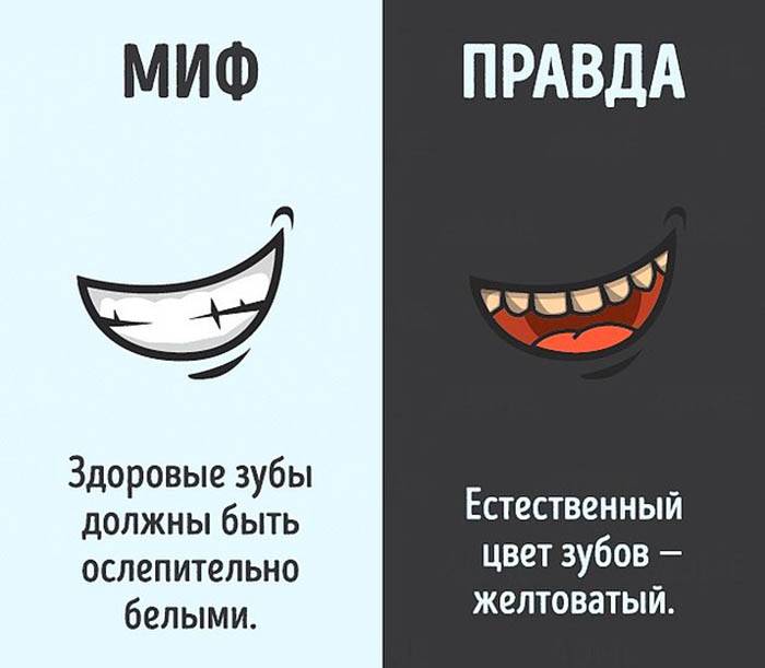 9 мифов о раке – самые распространенные заблуждения об онкологии | клиники «евроонко»