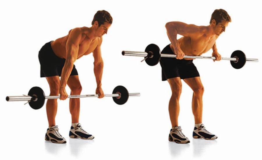 Тренировка мышц спины — тяга штанги к поясу в наклоне