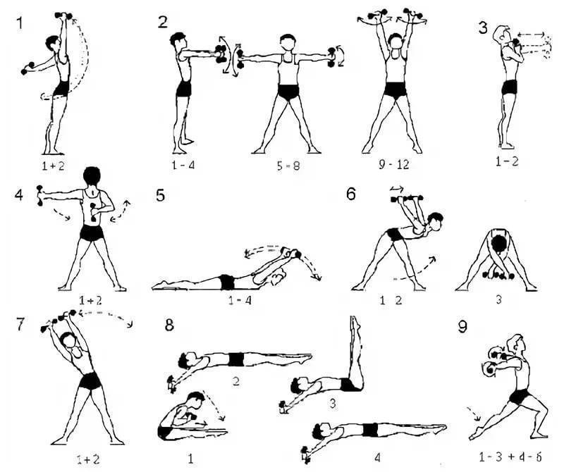 Упражнения с гантелями для женщин и девушек: комплекс для похудения с видео (10+ фото и видео) — "fito" — красота и здоровье