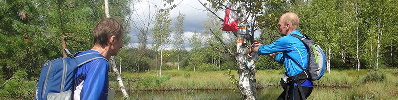 Что такое рогейн определение — folkmap.ru — закажите лучшее сочинение у нас!