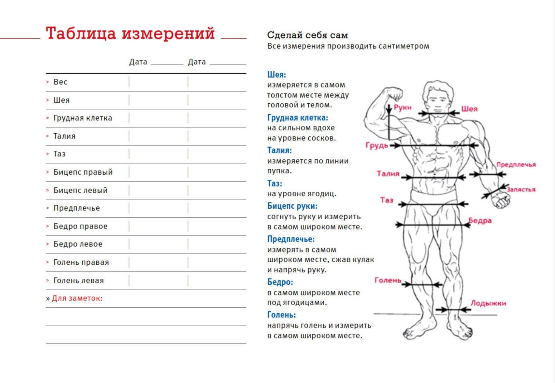 Идеальные пропорции тела мужчины - таблица!