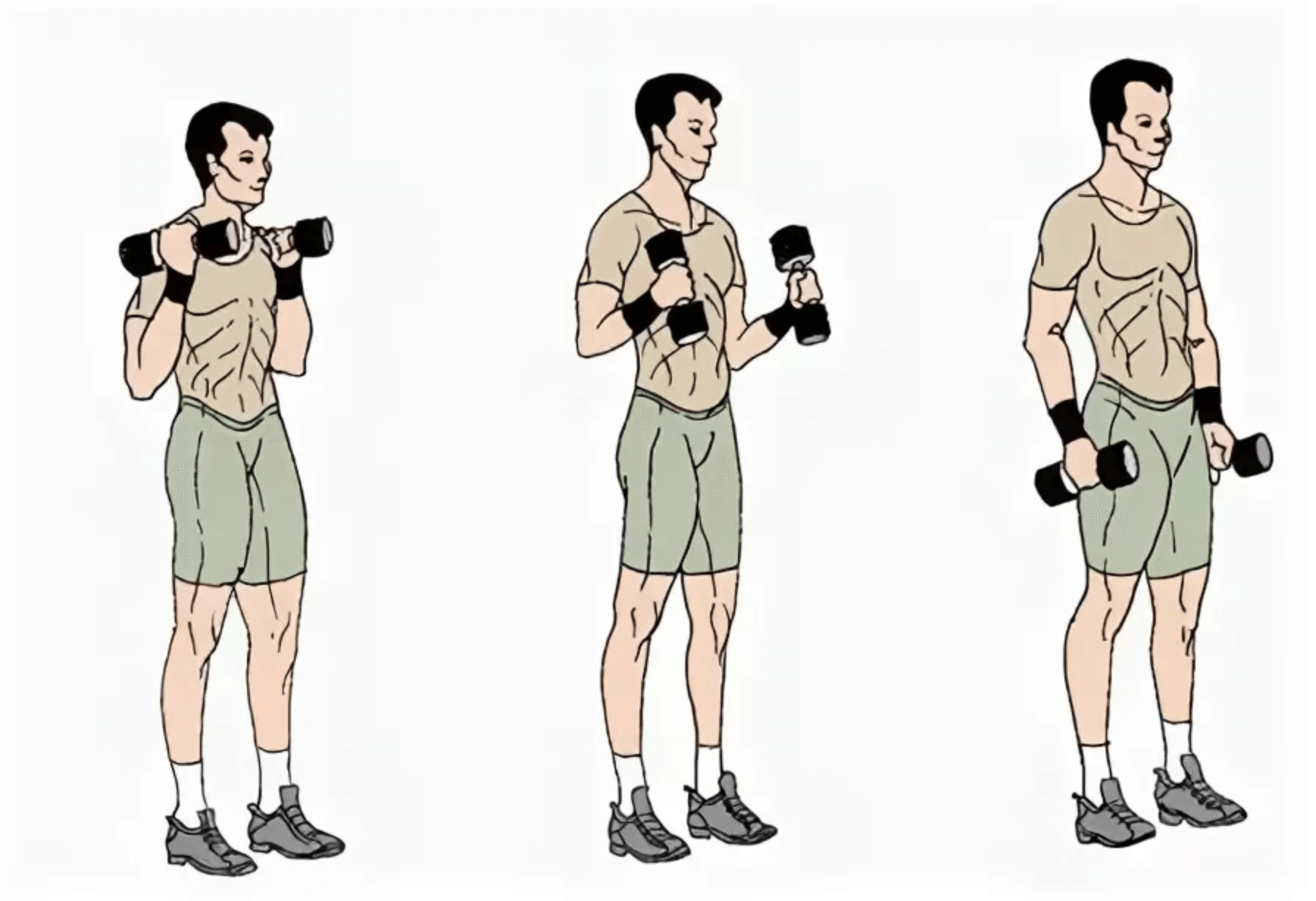 Упражнение молоток на бицепс: топ упражнение молот с гантелями