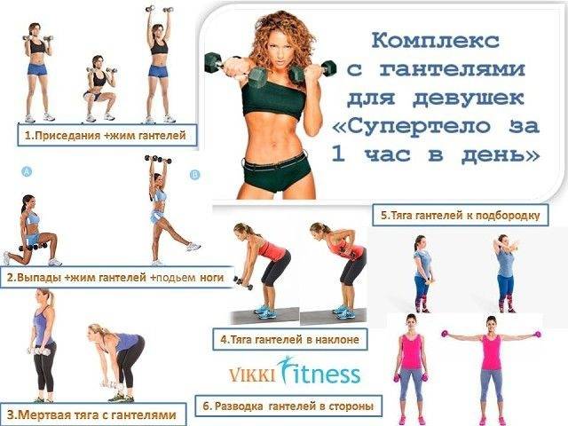 Упражнения с гантелями для женщин - sportfito — сайт о спорте и здоровом образе жизни