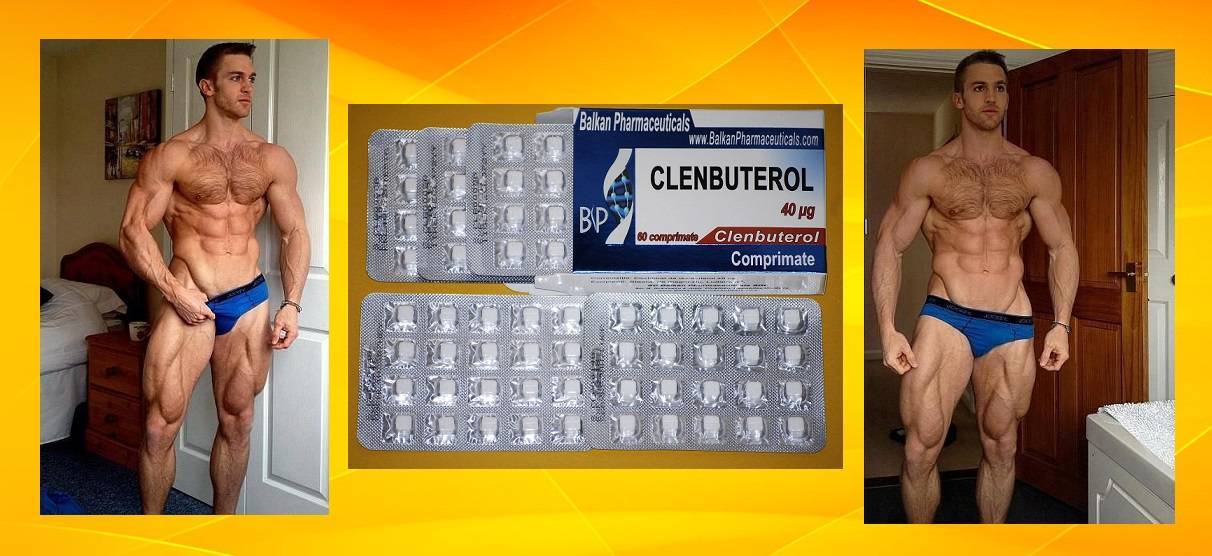 Кленбутерол (clenbuterol): все что важно знать о препарате