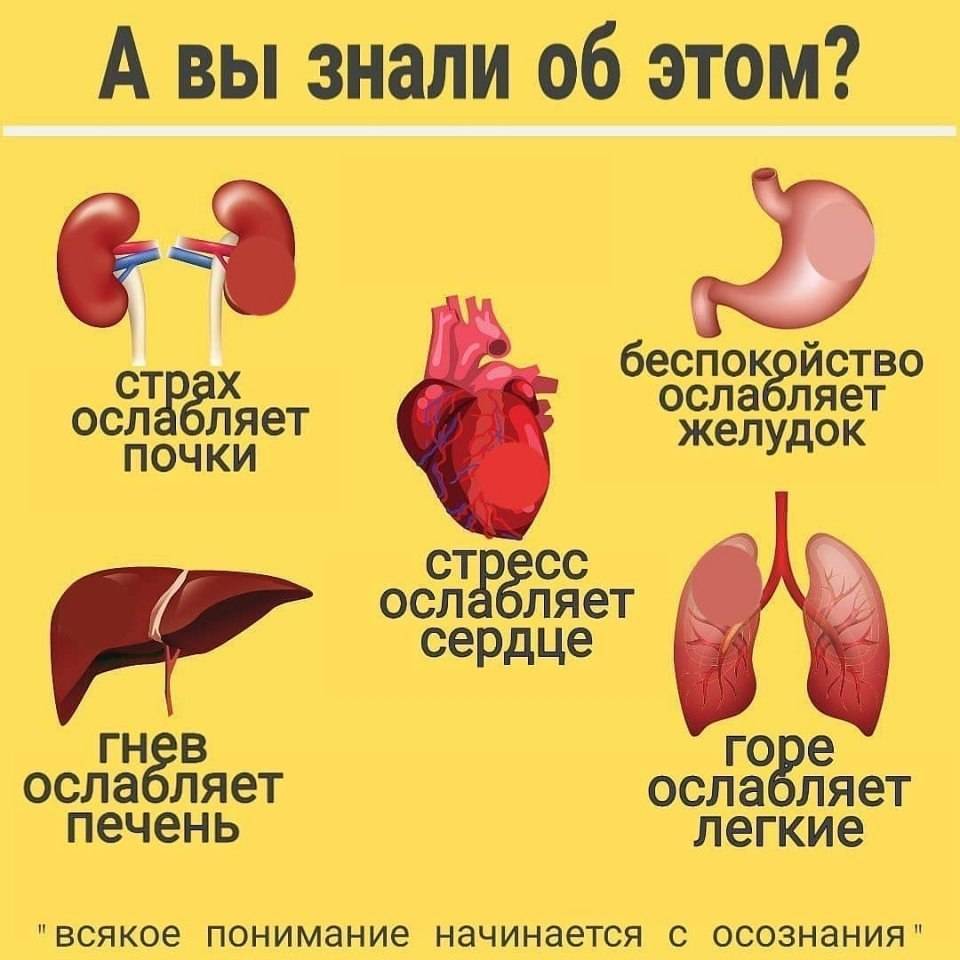 Химия стыда: почему мы зависимы от негативных эмоций