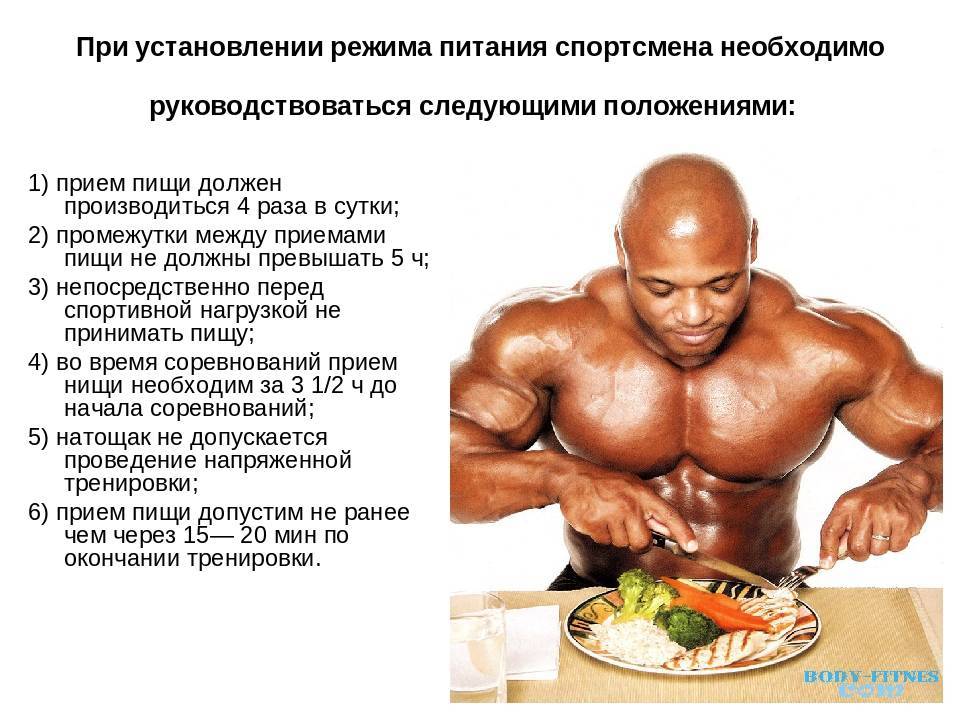Питание для набора мышечной массы: принципы построения диеты и составления меню для роста мышц