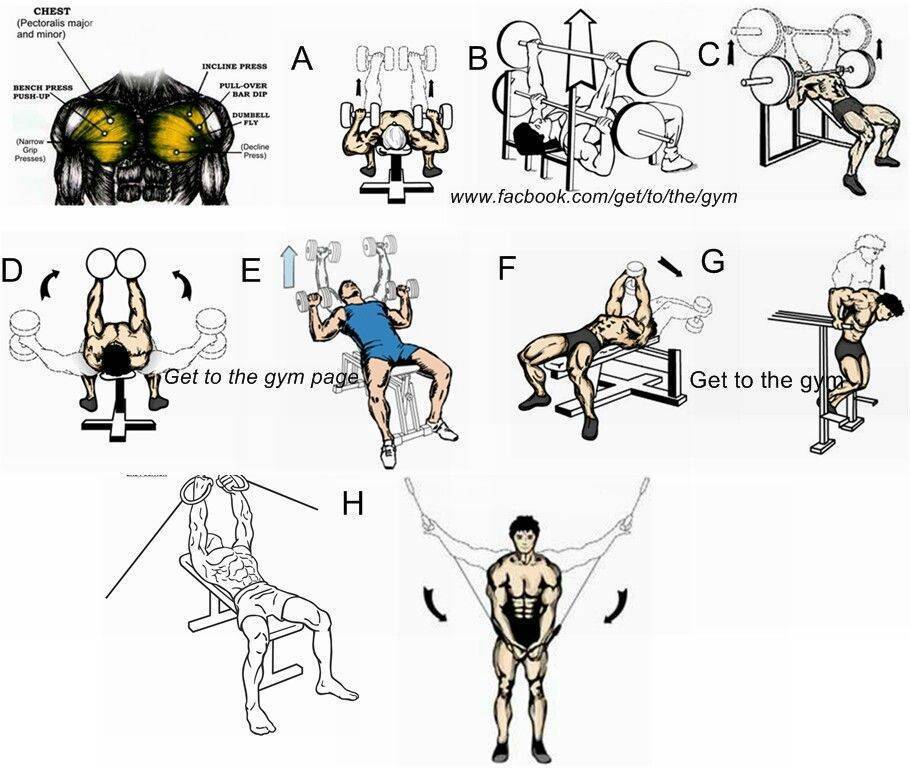 Упражнения на грудные в зале для мужчин. Схемы упражнений в тренажерном зале. Упражнения на грудные мышцы. Тренировки в зале для мужчин. Упражнения на грудные мышцы в тренажерном.