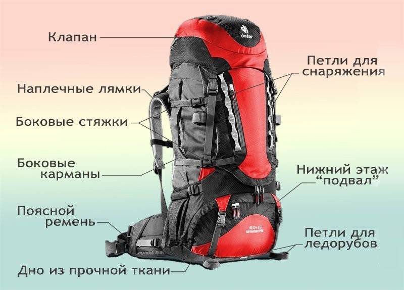 Что такое гидратор для рюкзака