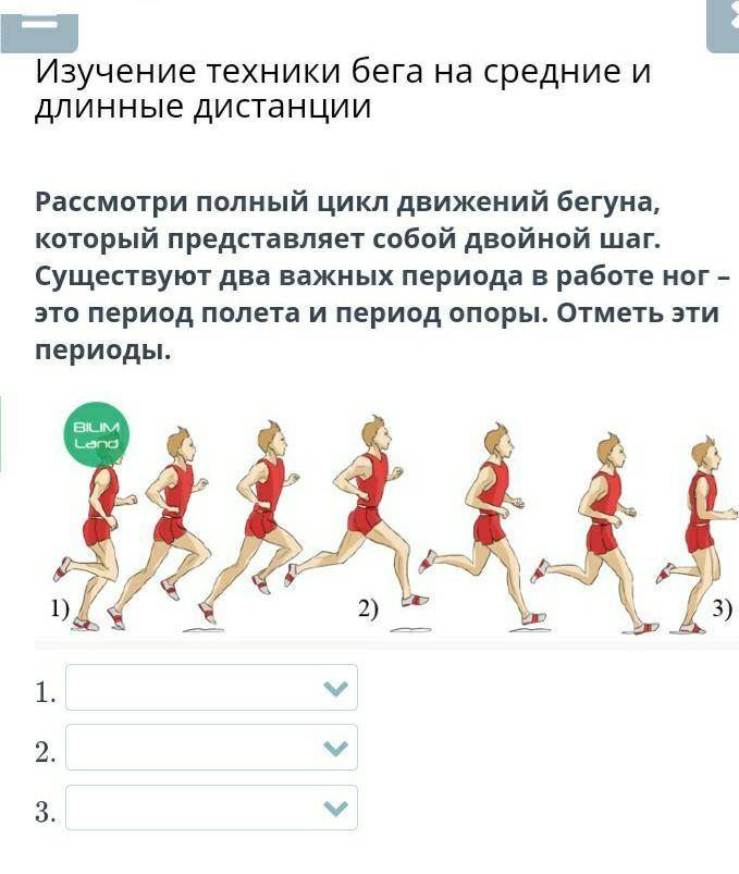 Правильная техника бега для начинающих бегунов