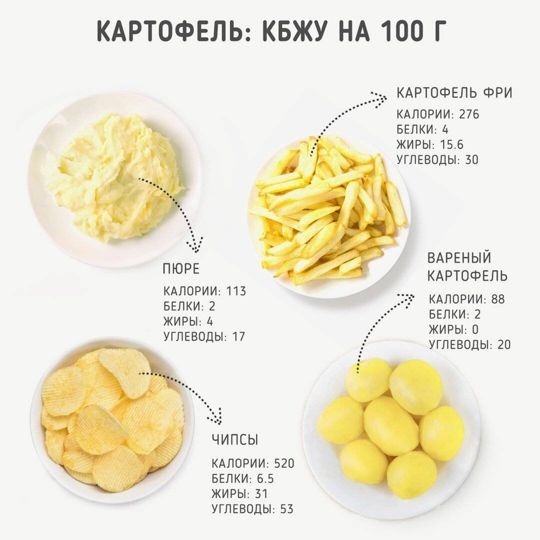 Калории в картофеле отварном с маслом, вареном, фри, жареном – проовощи.ру