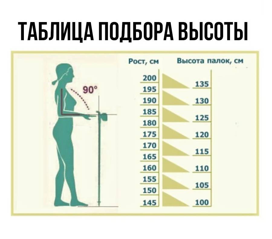 Как правильно выбрать палки для скандинавской ходьбы, какой размер (длину и высоту) лучше подобрать, нужна ли таблица — товарика