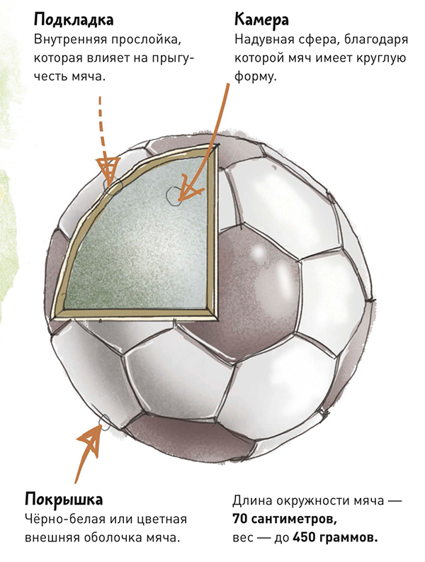Как правильно выбрать футбольный мяч для ребенка