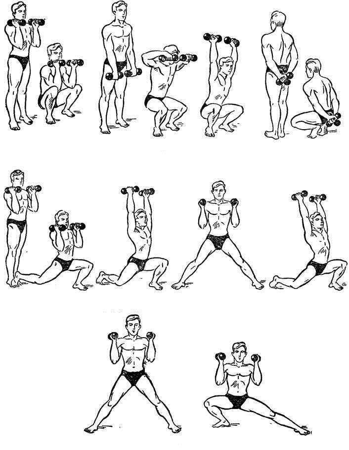 Лучшие упражнения с гантелями для женщин + схемы тренировок