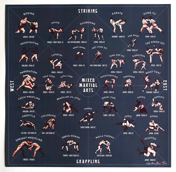 Обзор наиболее популярных видов боевых искусств