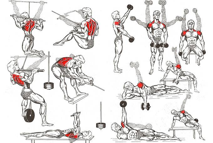 Тренировка на все группы мышц
