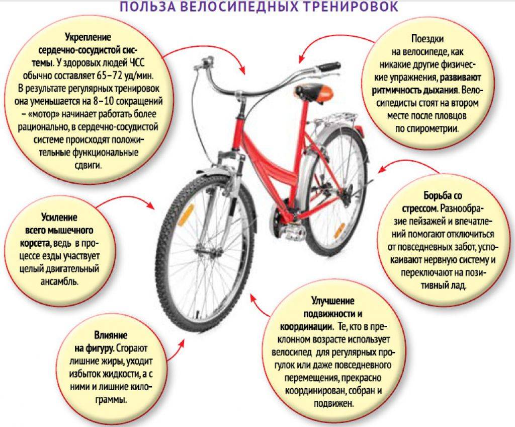 Езда на велосипеде польза и вред