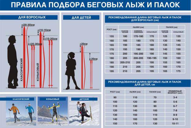 Лыжный эспандер: разновидности, упражнения для мужчин и женщин, эффективность