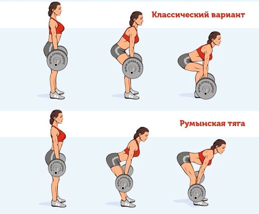 Становая тяга со штангой - техника, ошибки, варианты выполнения