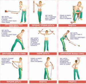 Упражнения с пружинным эспандером для женщин и мужчин: техника выполнения и виды