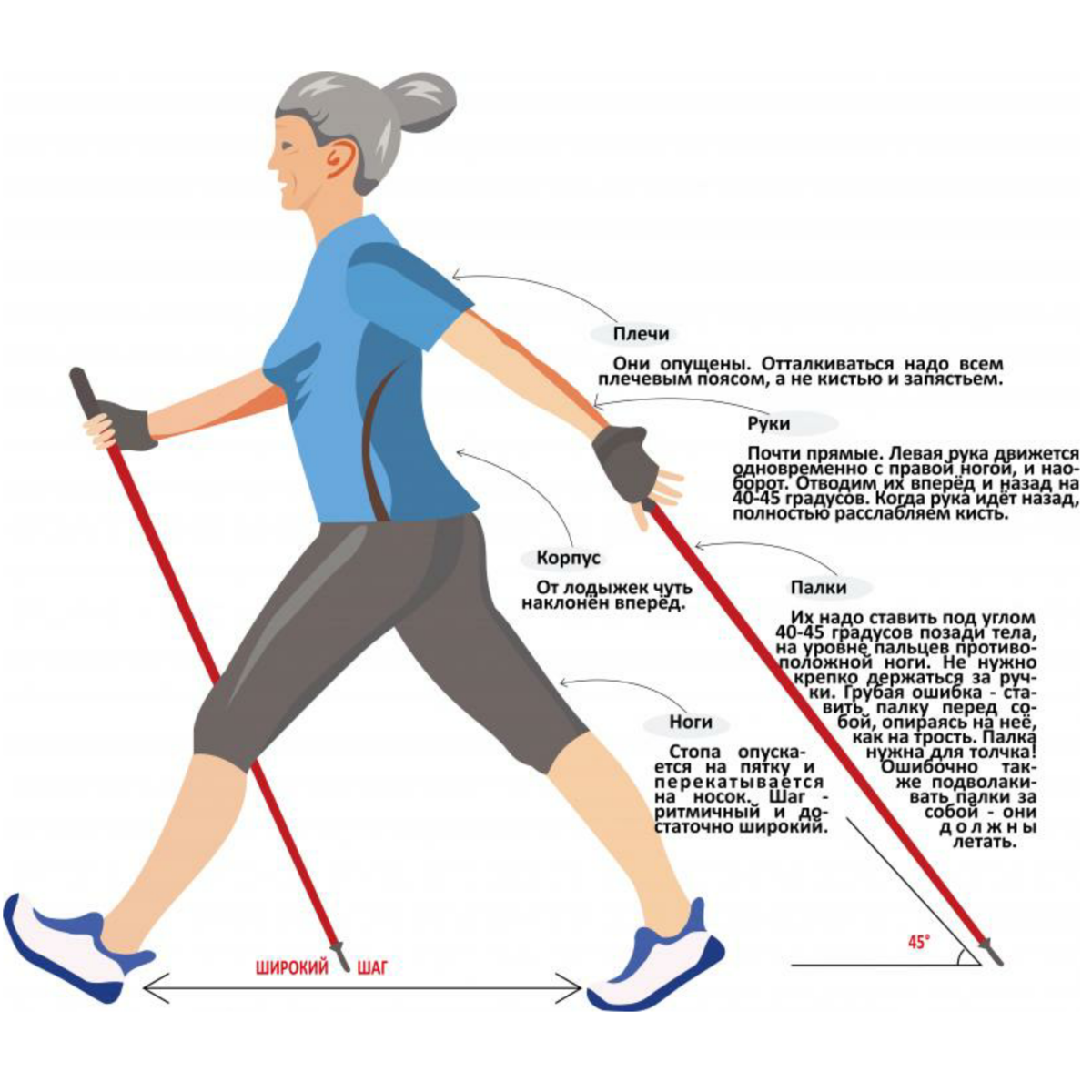 Какие палки для ходьбы лучше. Ходьба со скандинавскими палками методика. Методика скандинавской ходьбы с палками для начинающих. Правильная ходьба с палками для скандинавской ходьбы. Как правильно ставить палку для скандинавской ходьбы.