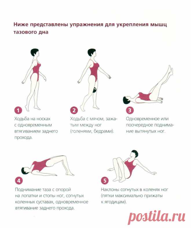 Методика "вумбилдинг": упражнения, картинки, тренажеры | ledinn.ru