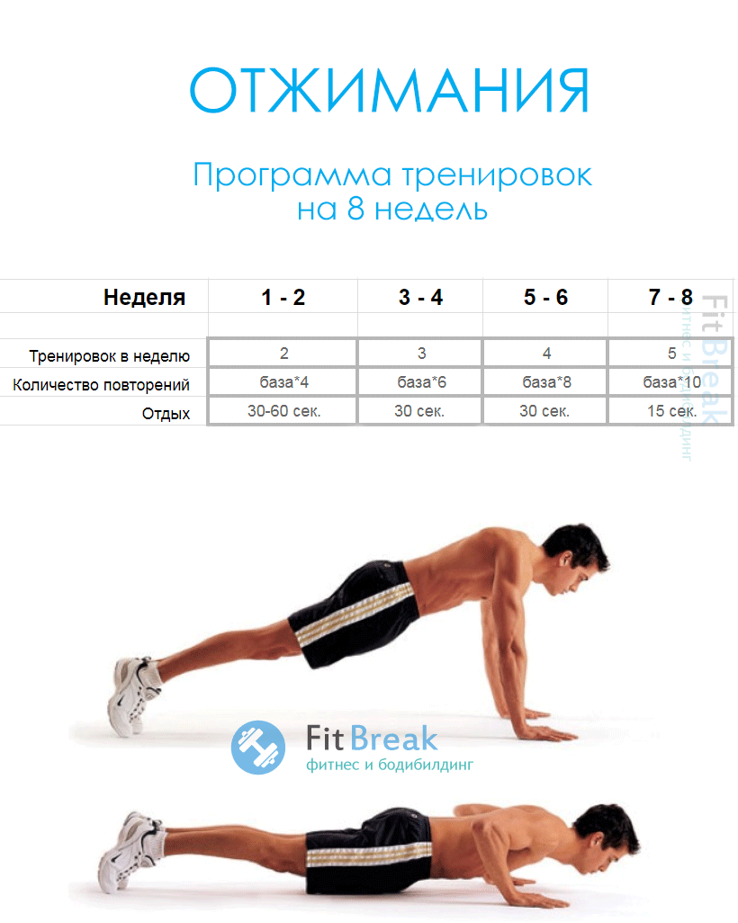 План по увеличению отжиманий - 92 фото