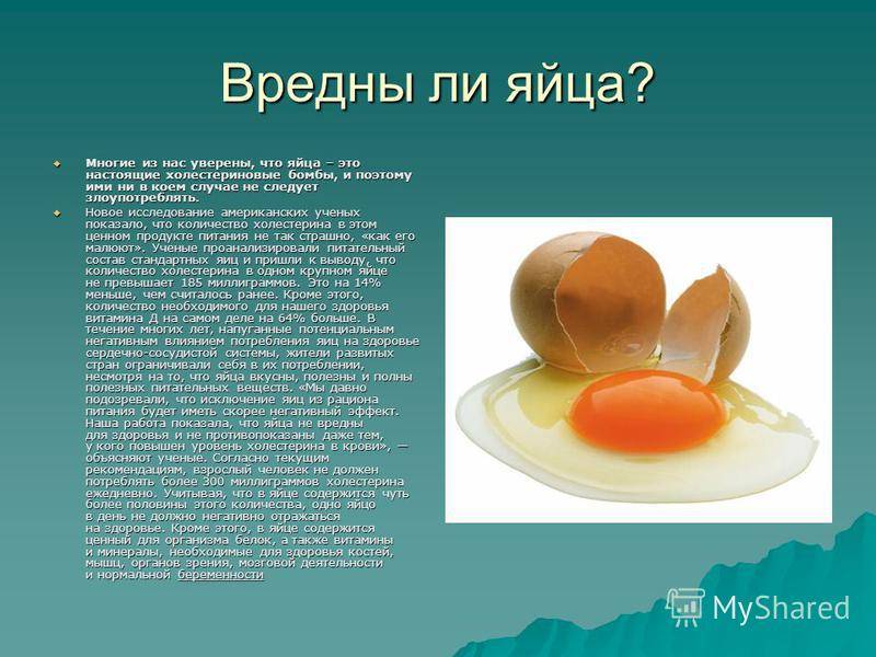 Вред и польза куриных яиц. вредно ли есть яйца каждый день и с желтком?
