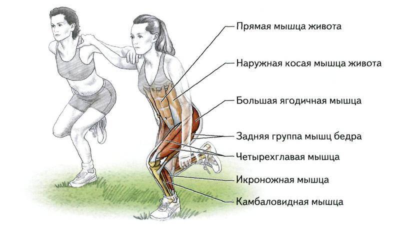 Какие мышцы качаются при беге. Какие мышцы работают при бе. Какие мышцы работают при беге. Мышцы работающие при беге. Мышцы задействованные при беге.