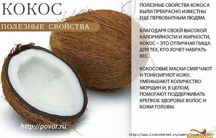 Полезные свойства кокоса | волшебная eда.ру