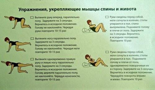 Упражнения для мышц живота и спины. Упражнения для укрепления спины. Упражнения для укрепления мышц живота и спины. Упражнение для укрепления спины для женщин. Укрепить мышцы спины упражнения.
