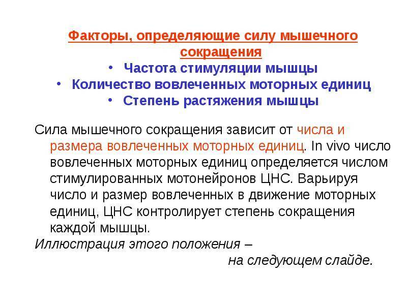 Невроз лица: симптомы и признаки, почему происходит онемение лицевых мышц, что такое парестезия лица, лечение
