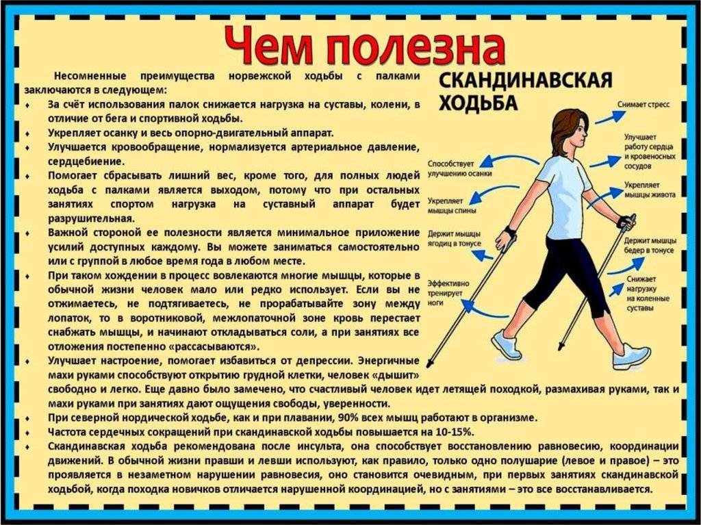 Сканадинавская ходьба: правильная техника и польза - lovefit.ru