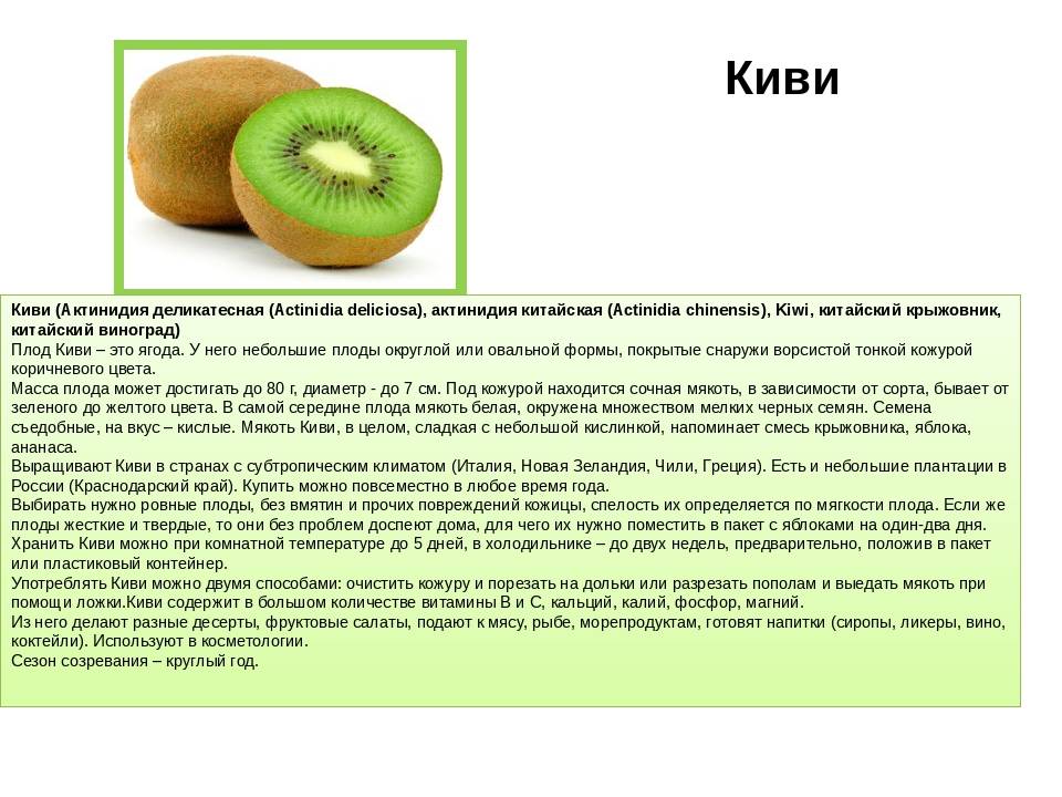 Польза киви — 11 доказанных свойств фрукта для организма человека, а также противопоказания
