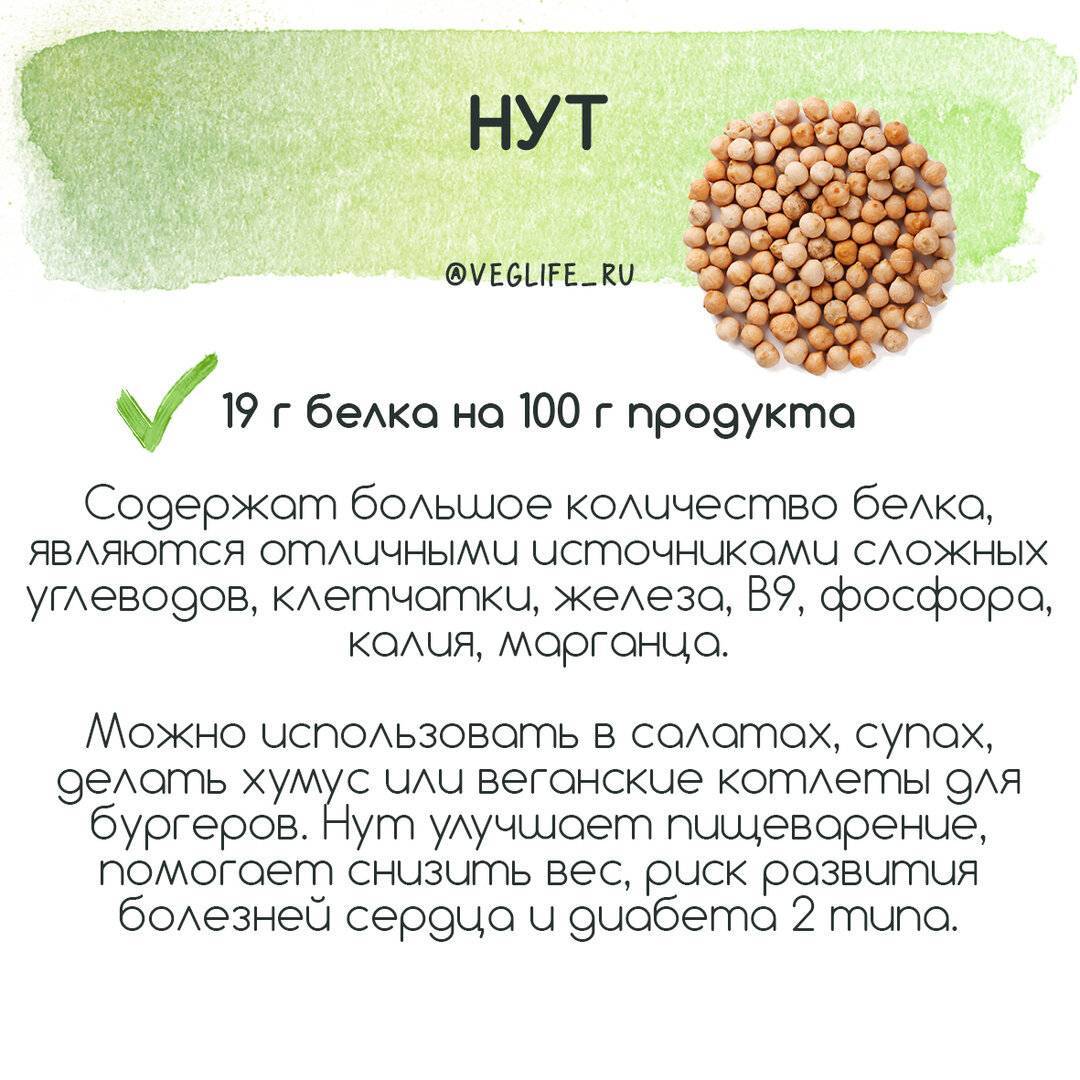 Эксперимент: чем отличаются организмы веганов и мясоедов? - hi-news.ru