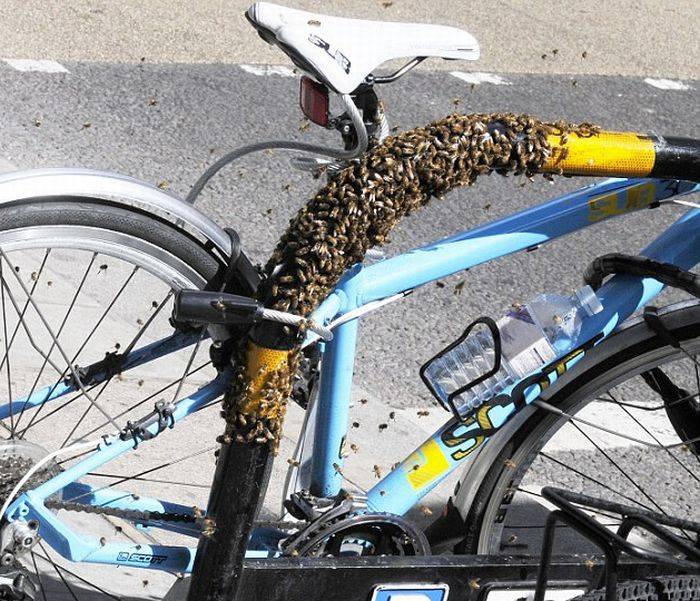 Как защитить велосипед от угона, противоугонные устройства