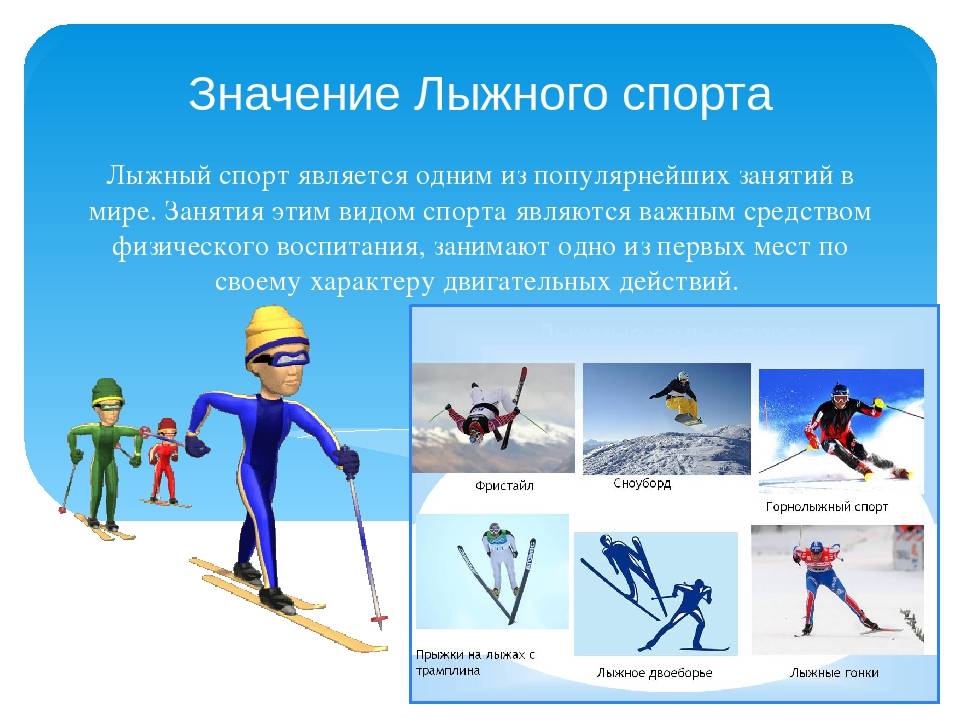 Как лыжники тренируются в течение года
