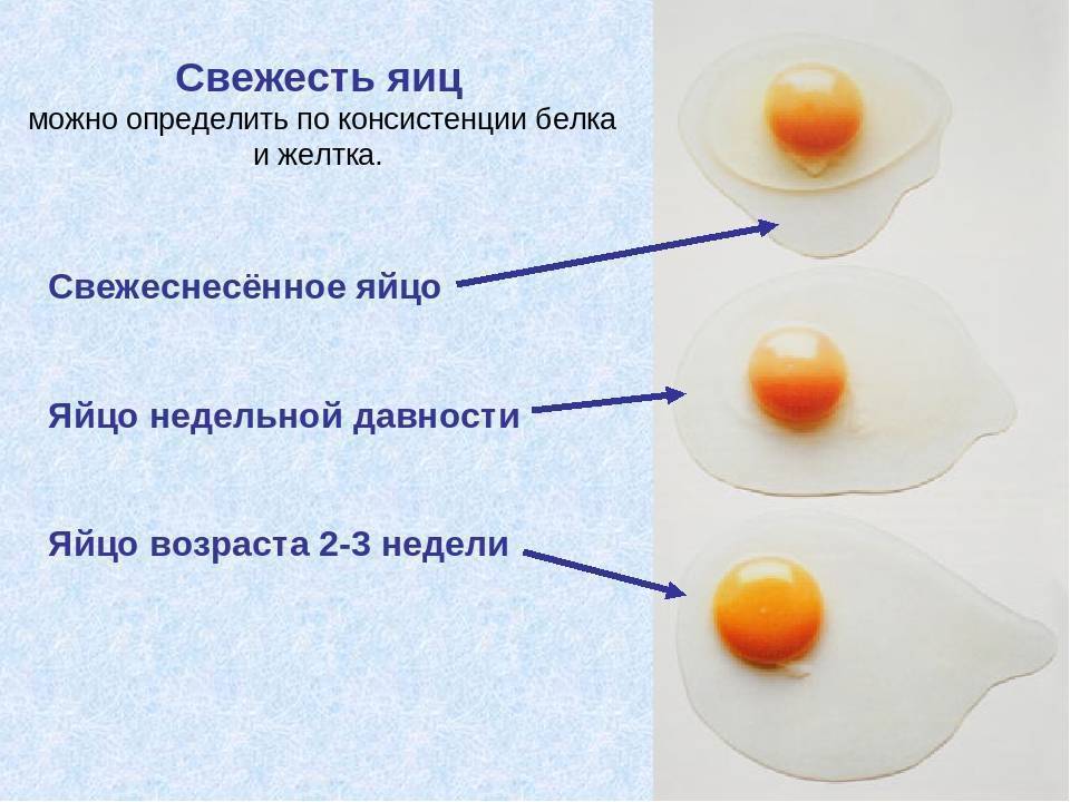 Как отделить желток от белка. как правильно отделить белок от желтка простой способ отделить желток от белка